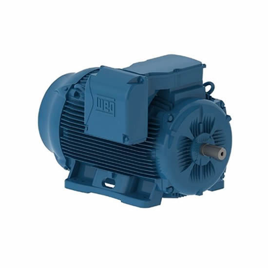  Motor Trifásico Linha W22 Premium